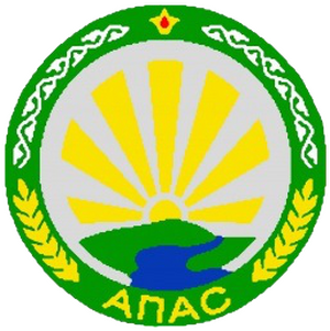 Апас