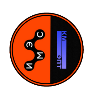 Институт международных экономических связей