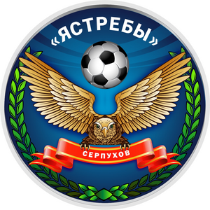 ФШ "Ястребы-2015"