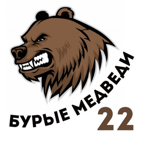 Бурые медведи-СОШ №22