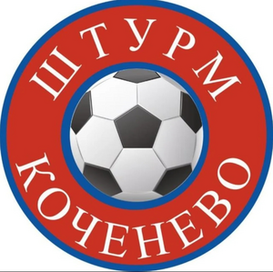 Штурм
