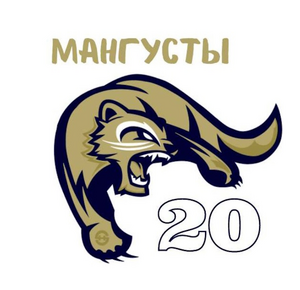 Мангусты-СОШ №20