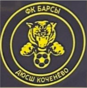 Барсы