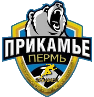 СШ Закамск
