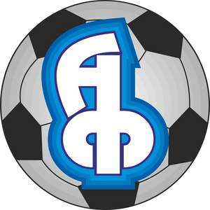 Академия футбола2013