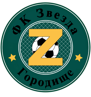 ДФК «Звезда-Городище 2014