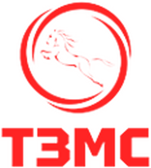 ТЗМС