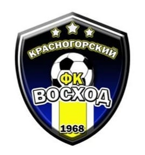 МФК Восход 2016