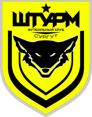 «Штурм»