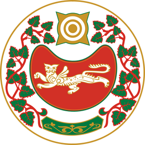 Аскизский лицей-интернат (2004-2005 г.р.)