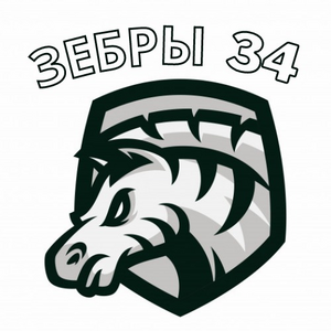 Зебры-СОШ №34