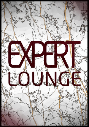 Expert lounge Vidnoe