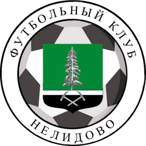 ФК Нелидово 2012
