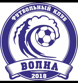 Волна-2013