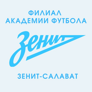 Зенит-М