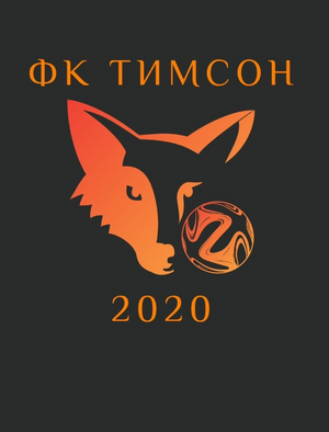 ФК Тимсон 2013-2014