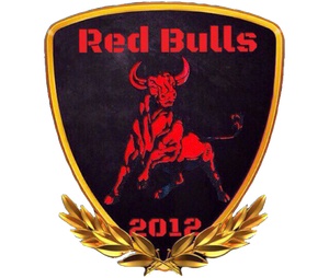 Red Bulls