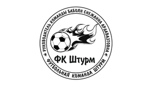 Штурм 12