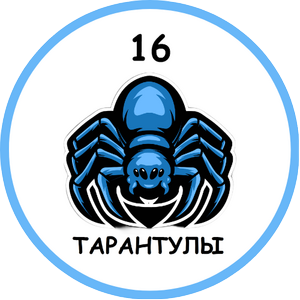 Тарантулы-СОШ №16