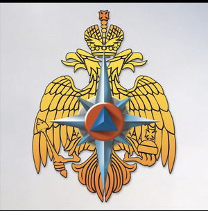МЧС по РМ