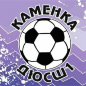 ДЮСШ 1 11 Каменка