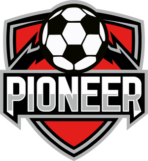 Пионер-2015