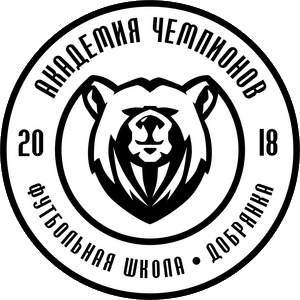 Академия-Чемпионов-2018