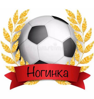 "Ногинка"