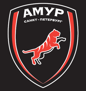 ДФК Амур