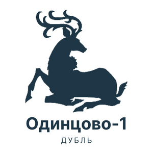 ФК Одинцово-1 дубль