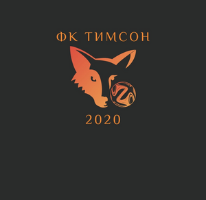 Тимсон 2014-2015