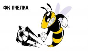 Футбольный клуб "Пчелка"
