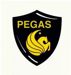 "Пегас - 2"