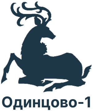 ФК Одинцово-1