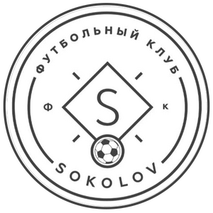 Футбольная команда "Соколов"