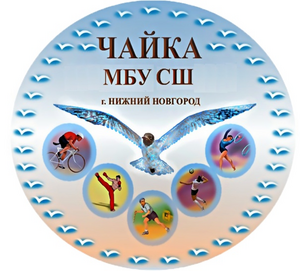 Чайка-2017-1