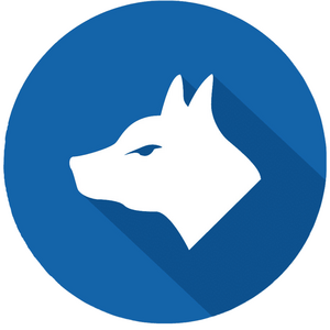 ФК Отрадное