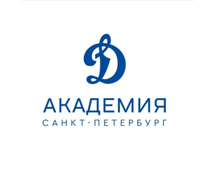 Динамо-Север синие 2012