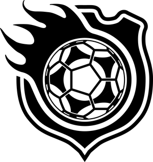 Синезёрки
