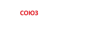 МАУ ЦФСР "Союз" ТМР