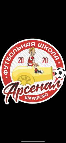 Арсенал Шарапово  2012