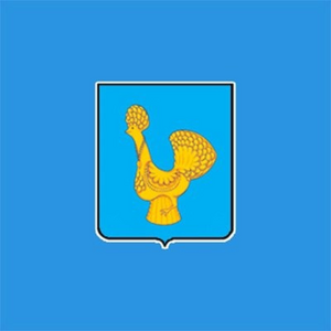 Спасский район