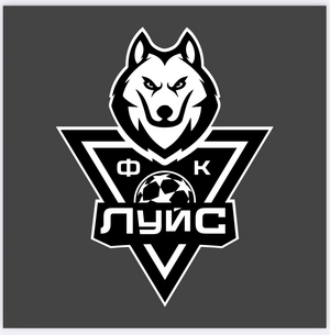«Луйс СШ 10»