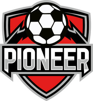 Пионер-2014