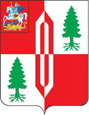 МБУ ГОЩ СДЦ Факел