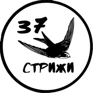 Стрижы-СОШ №37