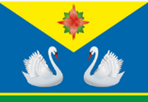 Купино Купино