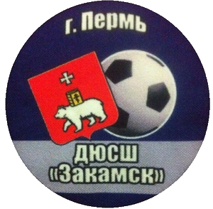 СШ Закамск-2010