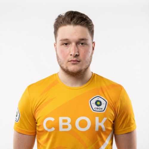 Владимир Иванович Мегреладзе