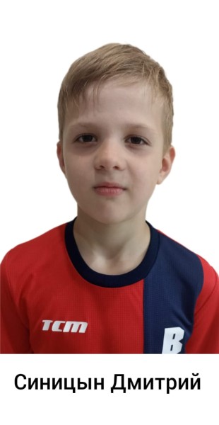 Дмитрий Иванович Синицын